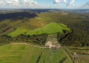 Аэрофотосъемка урочище Чистое поле, аэросъемка, аэрофото